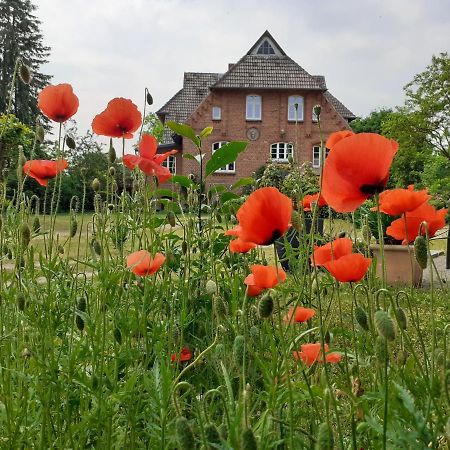 Ferienwohnung ehemalige Revierförsterei Morgensünn Kuhstorf Exteriör bild